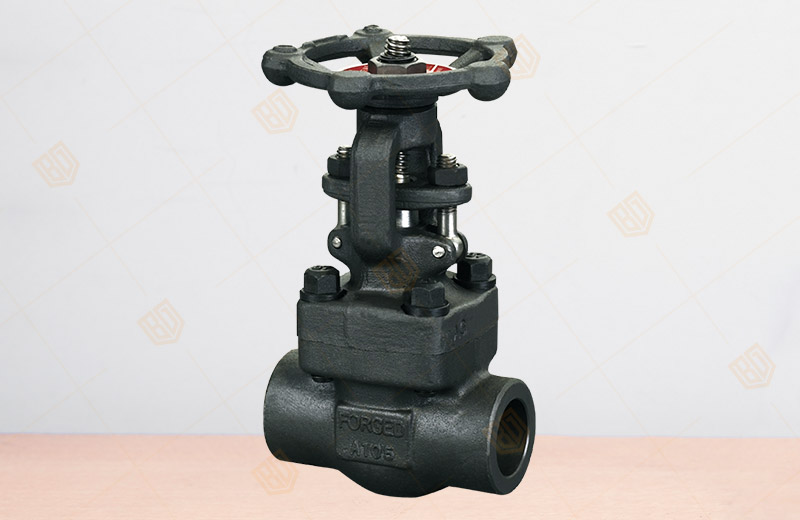 �䓃�(n��i)�ݼy���в庸�l�y 