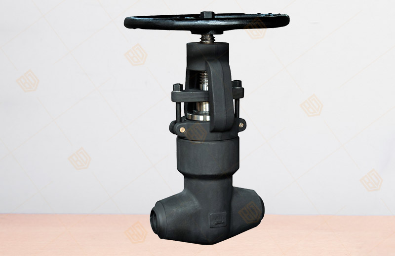 ���ܷ�2500Lb��ֹ�y