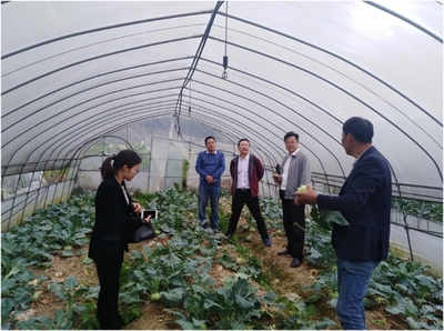 文成:省科技特派員徐明飛文成糯米山藥產業技術團隊專家工作室授牌成立
