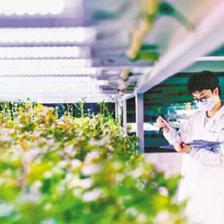 智慧農業重慶怎么做？生產管理只需指尖一點，農業技術的研究這樣落地
