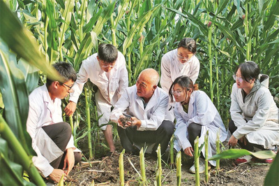 四平全力推進“梨樹模式”提檔升級 農業技術的新篇章