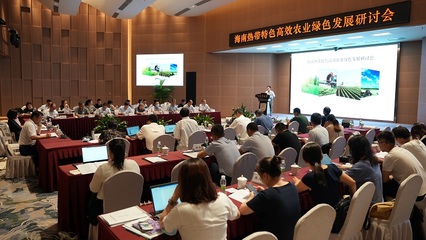 海南熱帶特色高效農業綠色發展研討會在京舉辦 聚焦農業技術研究前沿