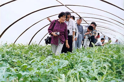 大棚西瓜托起“甜蜜”致富路 溫嶺西瓜產業發展30多年農業技術的研究