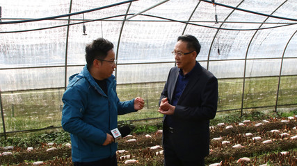 貴州省農科院 科技賦能山地農業的科研先鋒