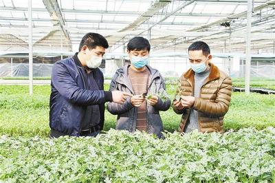 農業技術研究 驅動現代耕作的視覺革命