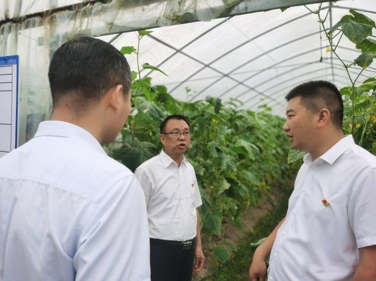 攸縣 博士工作站扎根農場，科技為鄉村振興注入強勁動力——農業技術研究成果速覽